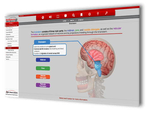 Sample Brain Apex Store :: Products for Individuals
