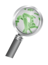 Search image